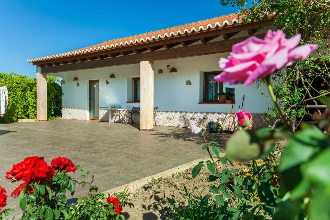 H - Montes De Praias Guesthouse Aljezur Kültér fotó
